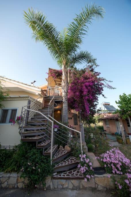 Bougainvillea House 1 Kalamata Bagian luar foto