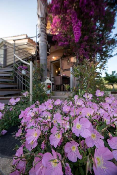 Bougainvillea House 1 Kalamata Bagian luar foto